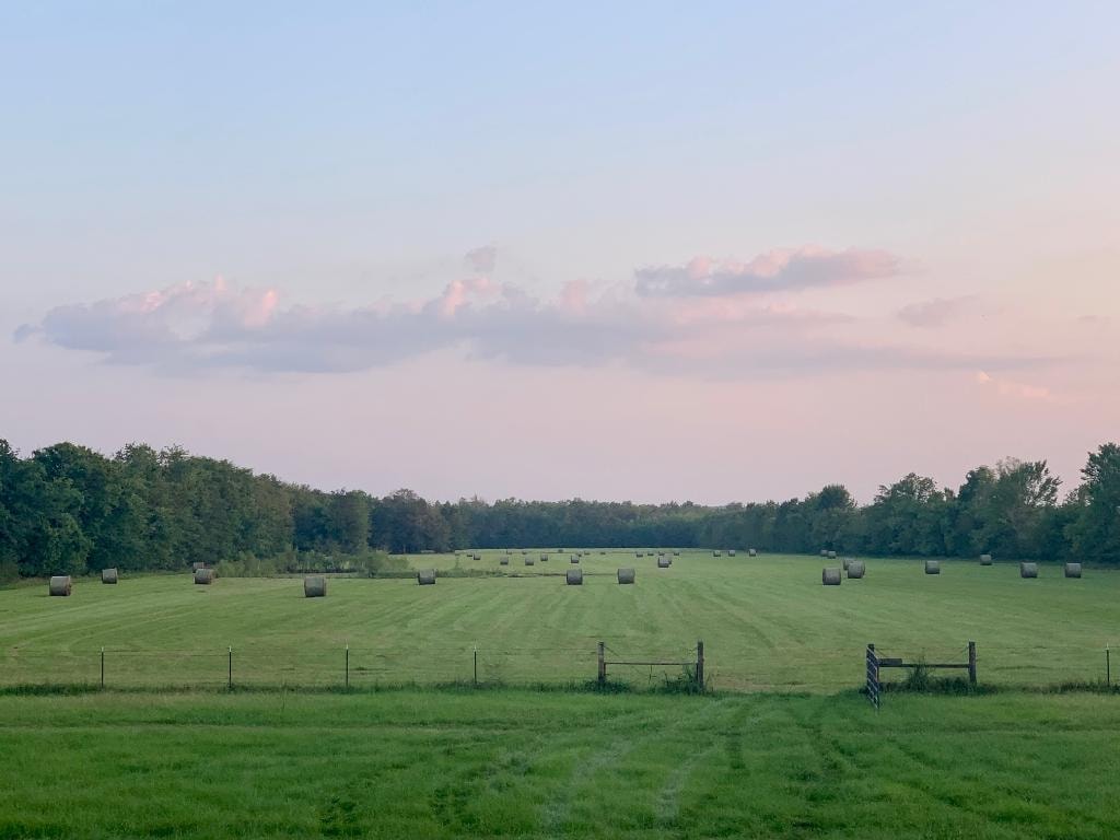 32-acre agricultural pasture land in Natchitoches Louisiana