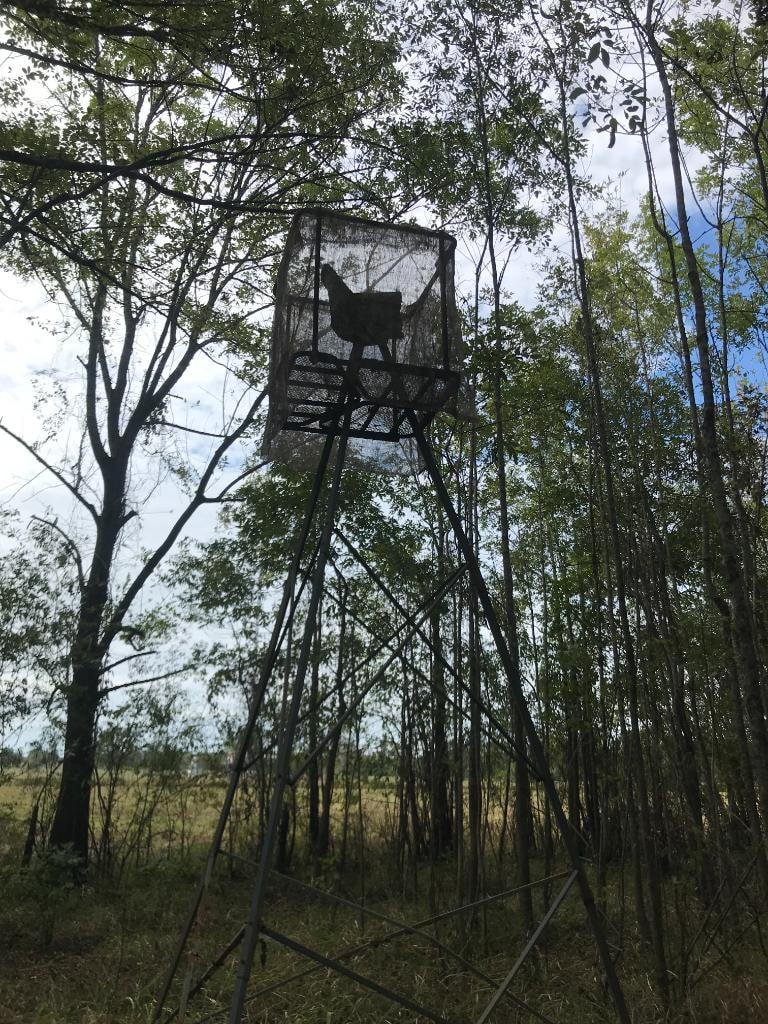 Heavily wooded hunting acreage in Natchitoches Louisiana